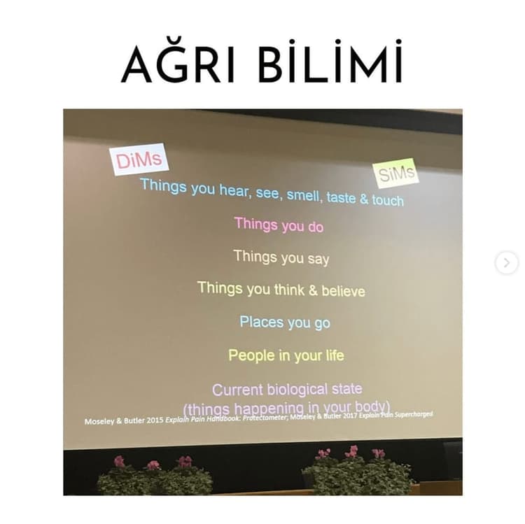 Kronik Ağrı