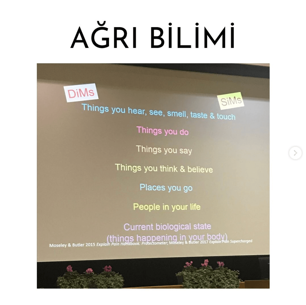 Kronik Ağrı